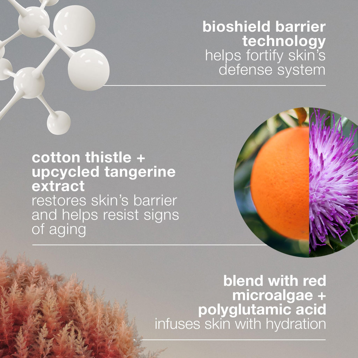Dermalogica Dynamic Skin Strengthening Serum biomimetic peptides support subtle, redensified skin.