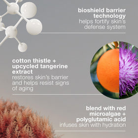 Dermalogica Dynamic Skin Strengthening Serum biomimetic peptides support subtle, redensified skin.
