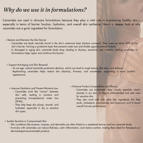 Dermaskin Labs Ceramide 3 Powder packaging-ready for cosmetic formulations.