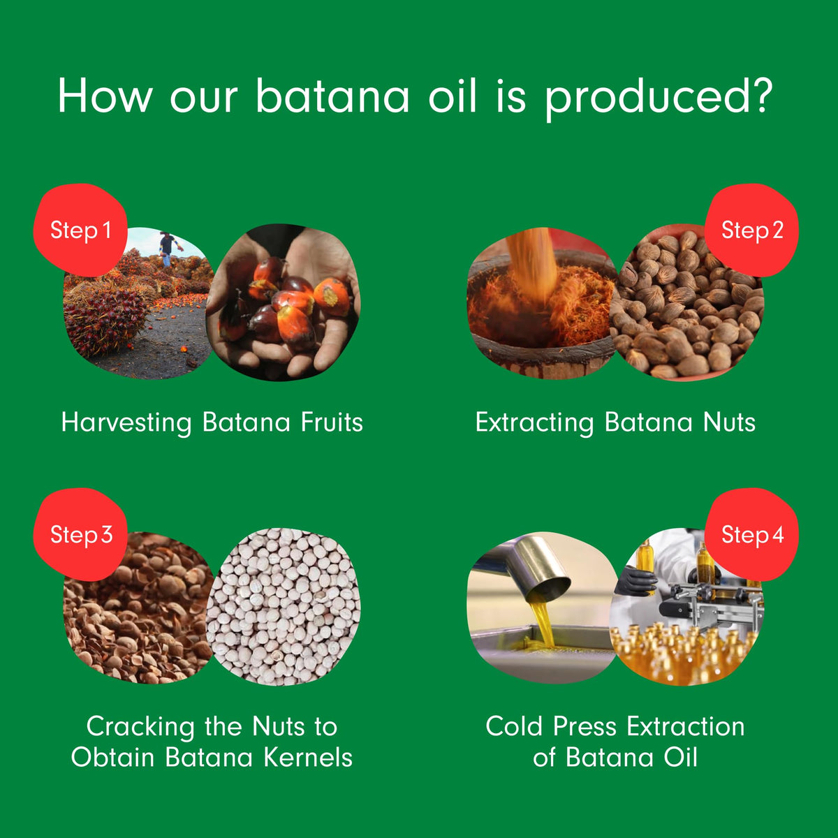 Dersie Batana Oil on shiny hair shows nourishing moisture and manageability.