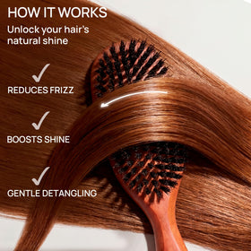 Desert Breeze Calcutta boar bristle brush packaging highlighting heritage craftsmanship