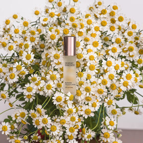 Tea tree oil antiseptic action in Desert Essence blemish stick.
