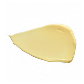 DHC Coenzyme Q10 Cream with olive leaf extract, revitalizing care.