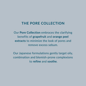 DHC Pore Face Wash pore-minimizing action graphic.