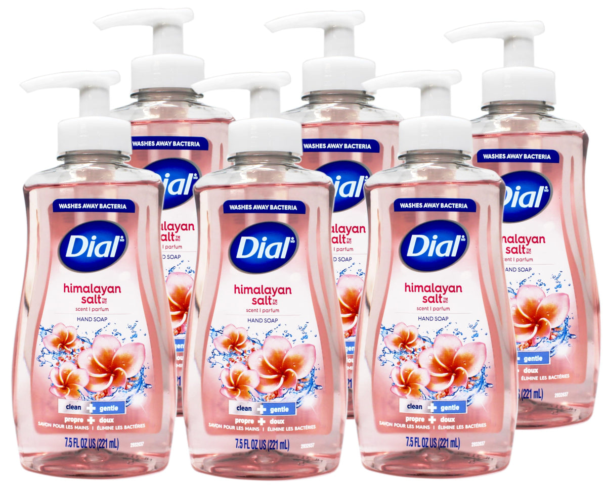 Bathroom counter featuring Dial Himalayan Pink Salt hand soap.