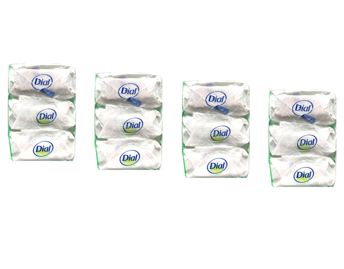 Dial Mountain Fresh pack-front view in a bathroom setting
