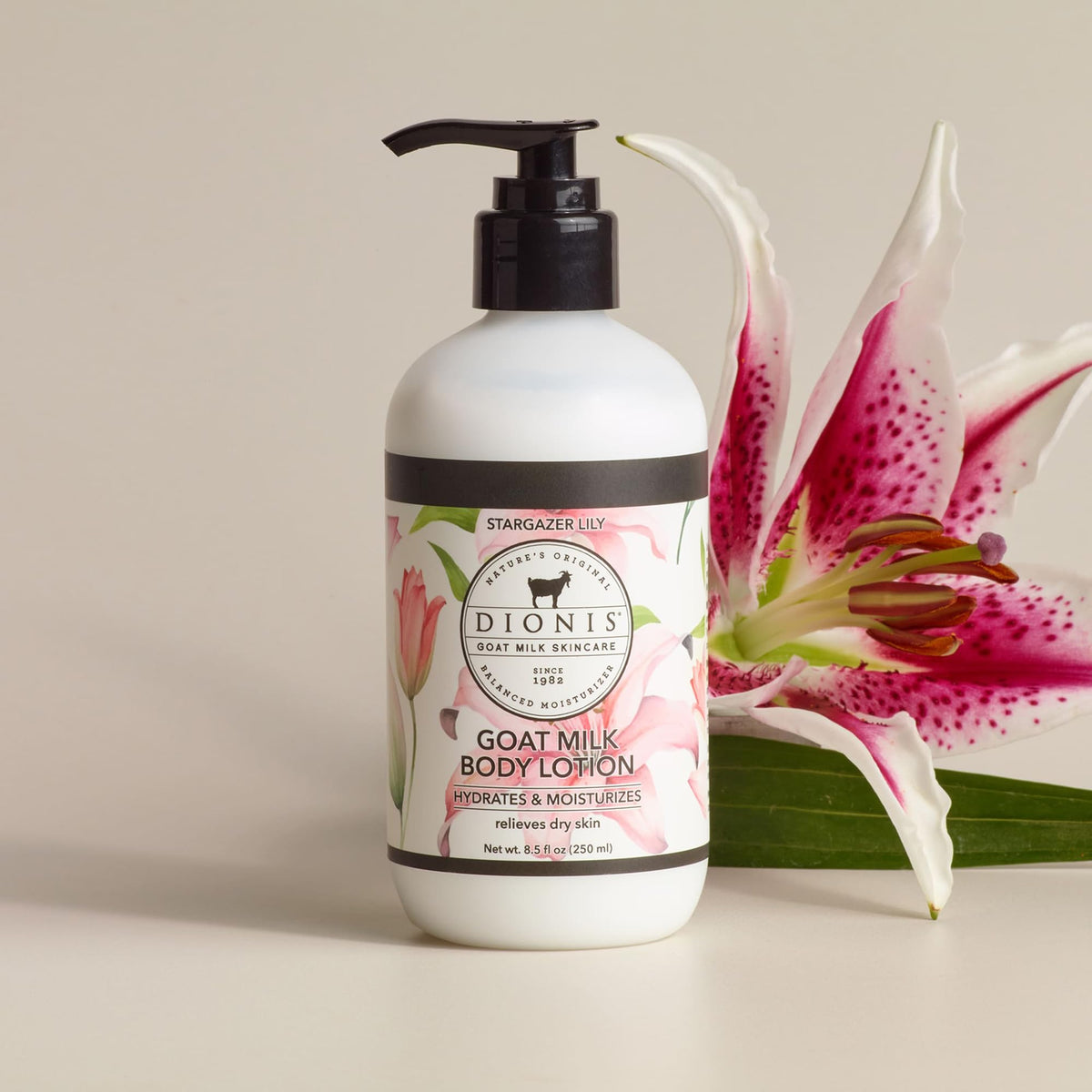 Dionis Goat Milk Body Lotion creamy texture ready for smooth, non-greasy absorption.