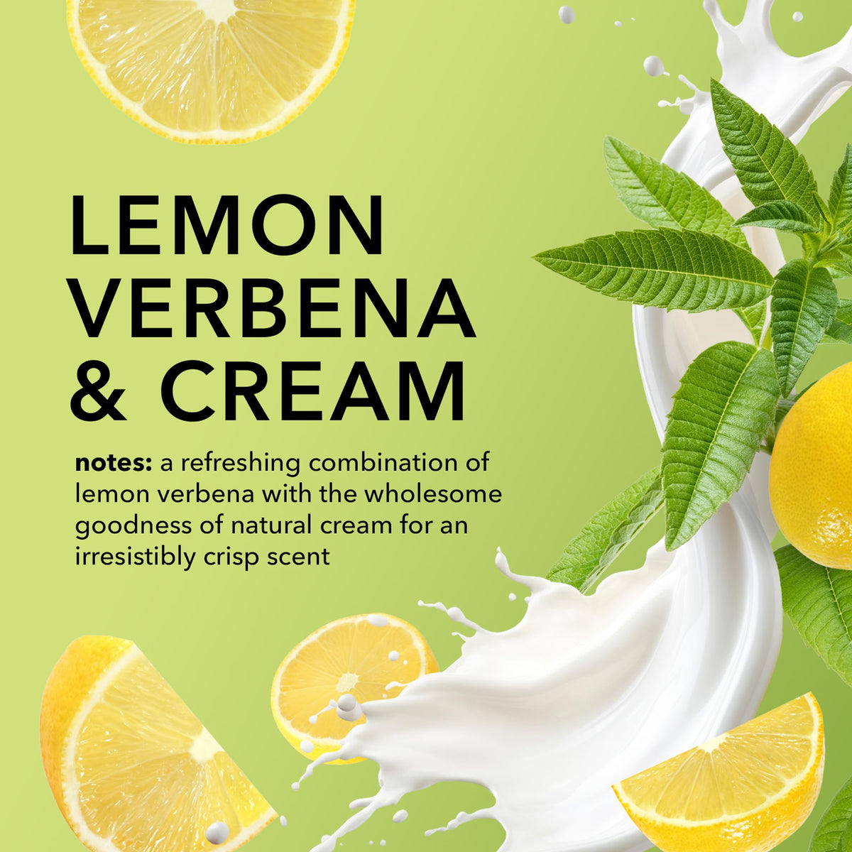 Dionis Verbena & Cream scent evokes lemon verbena freshness for everyday routines.