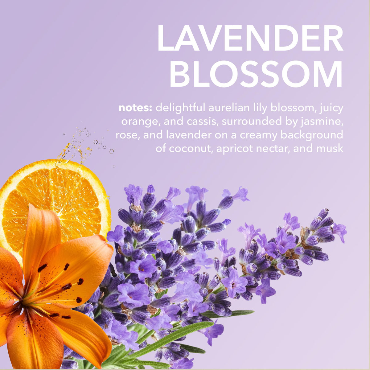 Creamy texture of Dionis lotion demonstrated during application