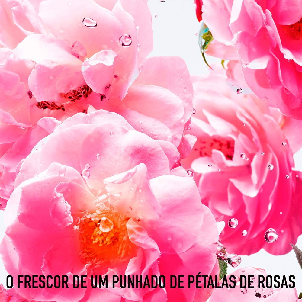 Miss Dior Rose N Roses rose-accords close-up highlighting Grasse and Damask roses.