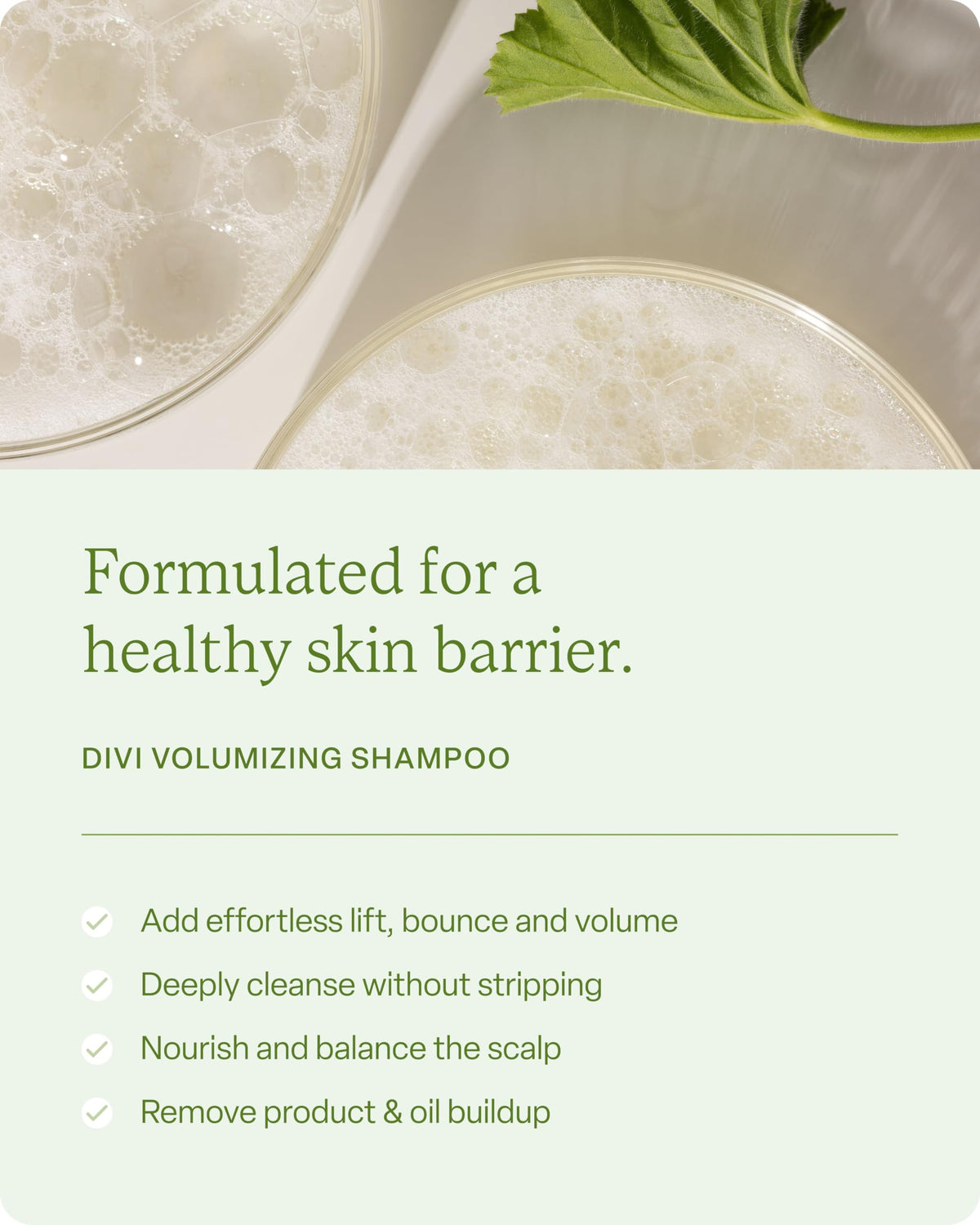 Divi hair strands close-up shows increased bounce and resilience.