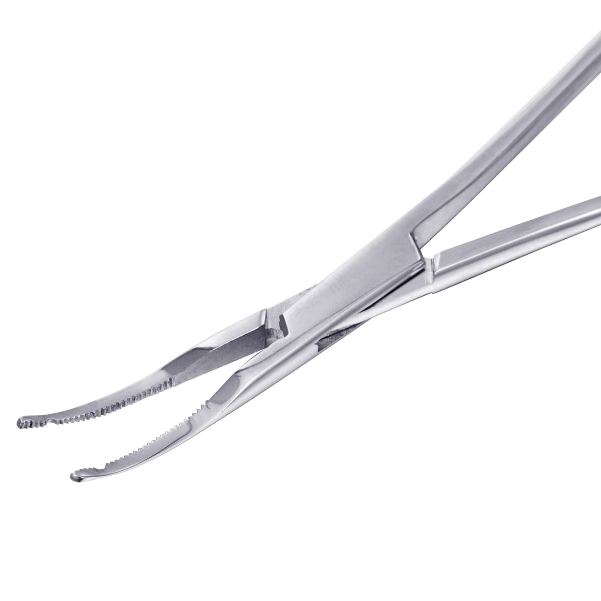 DJCIW stainless steel dermal forceps handle with smooth, comfortable grip.