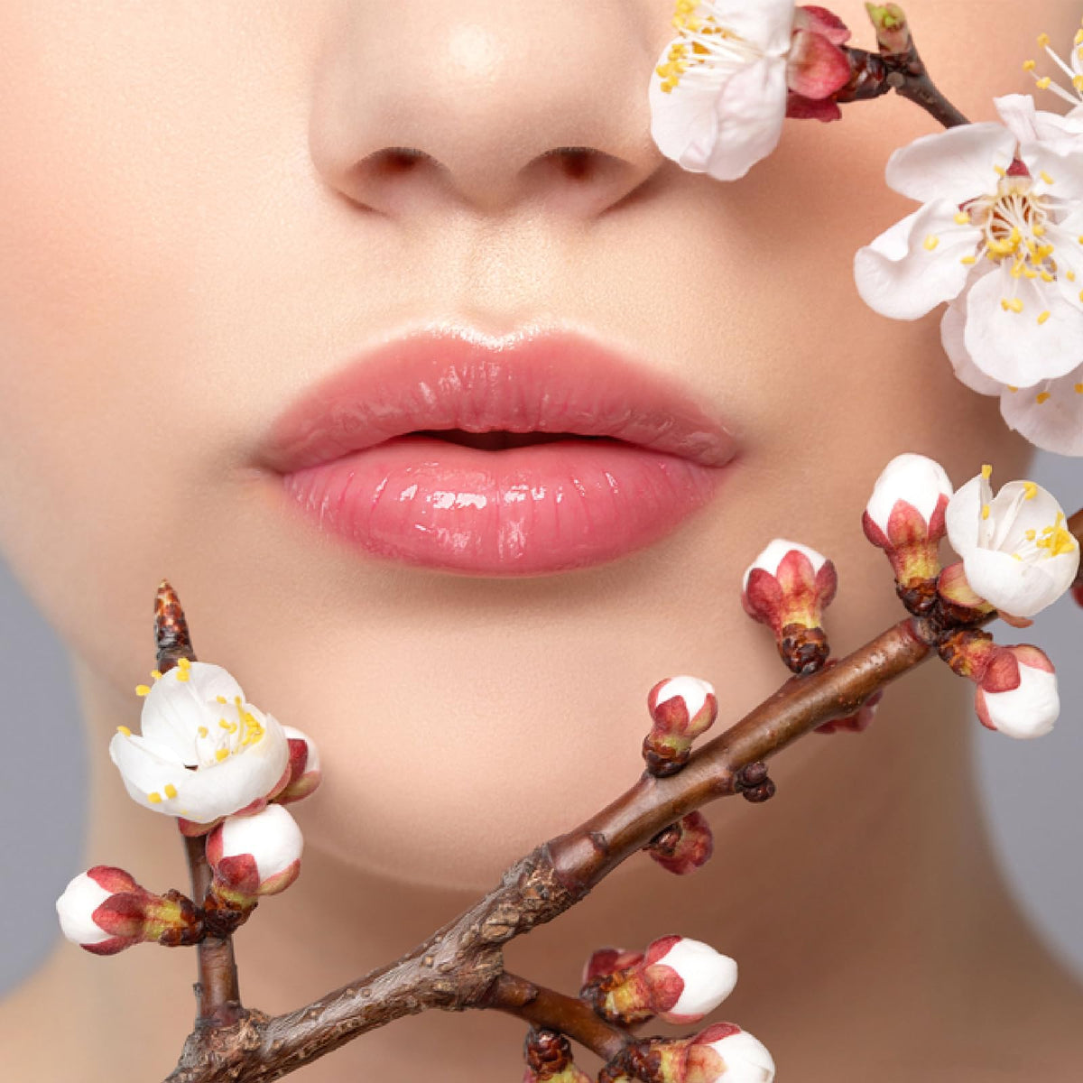Dmsky lip balm bulk pack lemon flavor provides refreshing moisture.