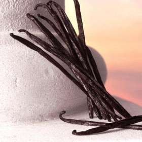 Amber vanilla base note illustration, warm and inviting impression