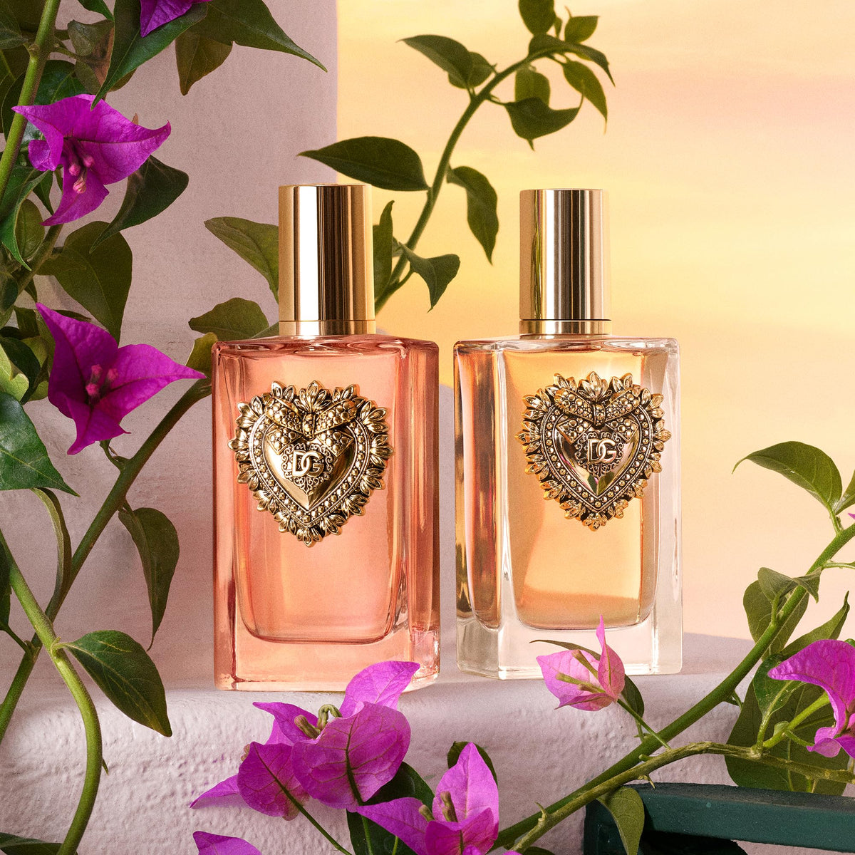 Elegant display with Devotion Intense, ideal for gift ideas