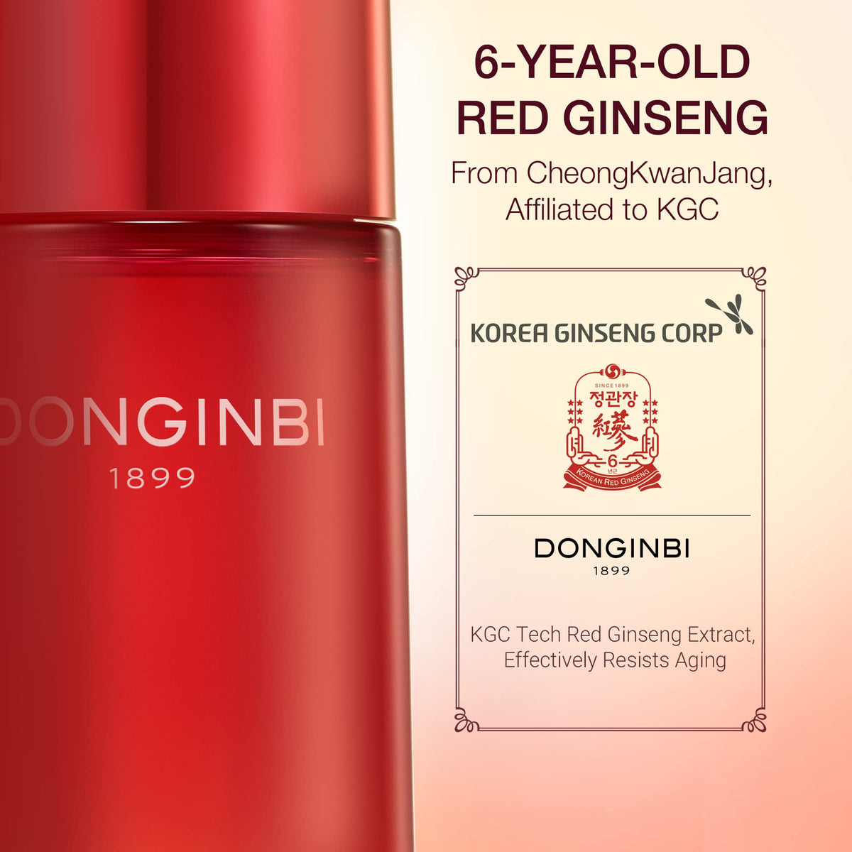Donginbi Red Ginseng Set laid out for a premium skincare routine