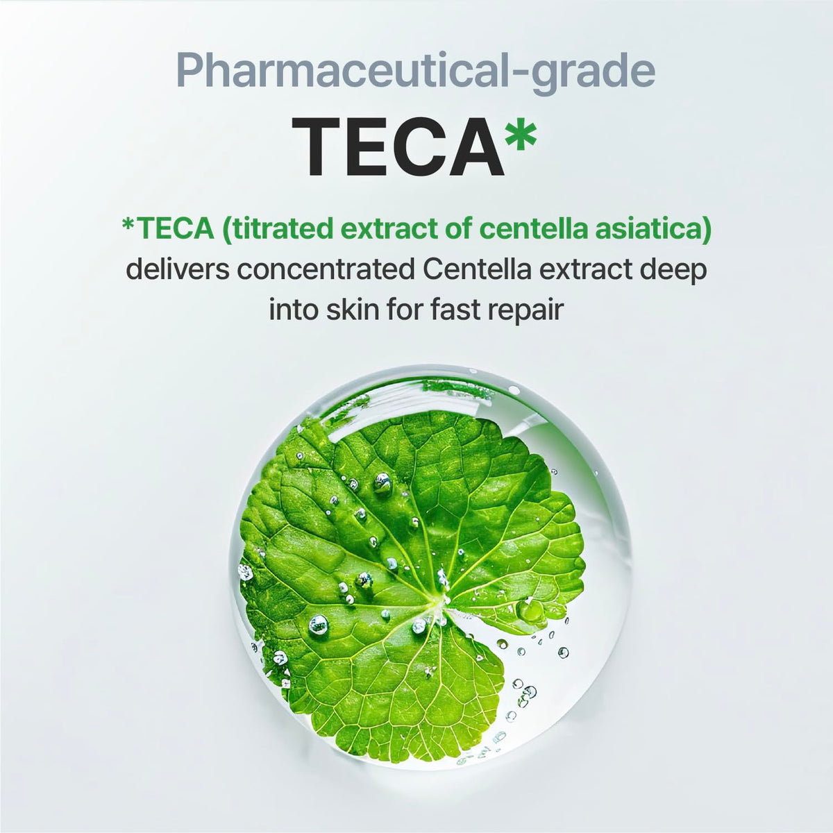 Dongkook Pharmaceutical heritage symbolizing decades of Centella skincare expertise.