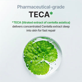 Dongkook Pharmaceutical heritage symbolizing decades of Centella skincare expertise.