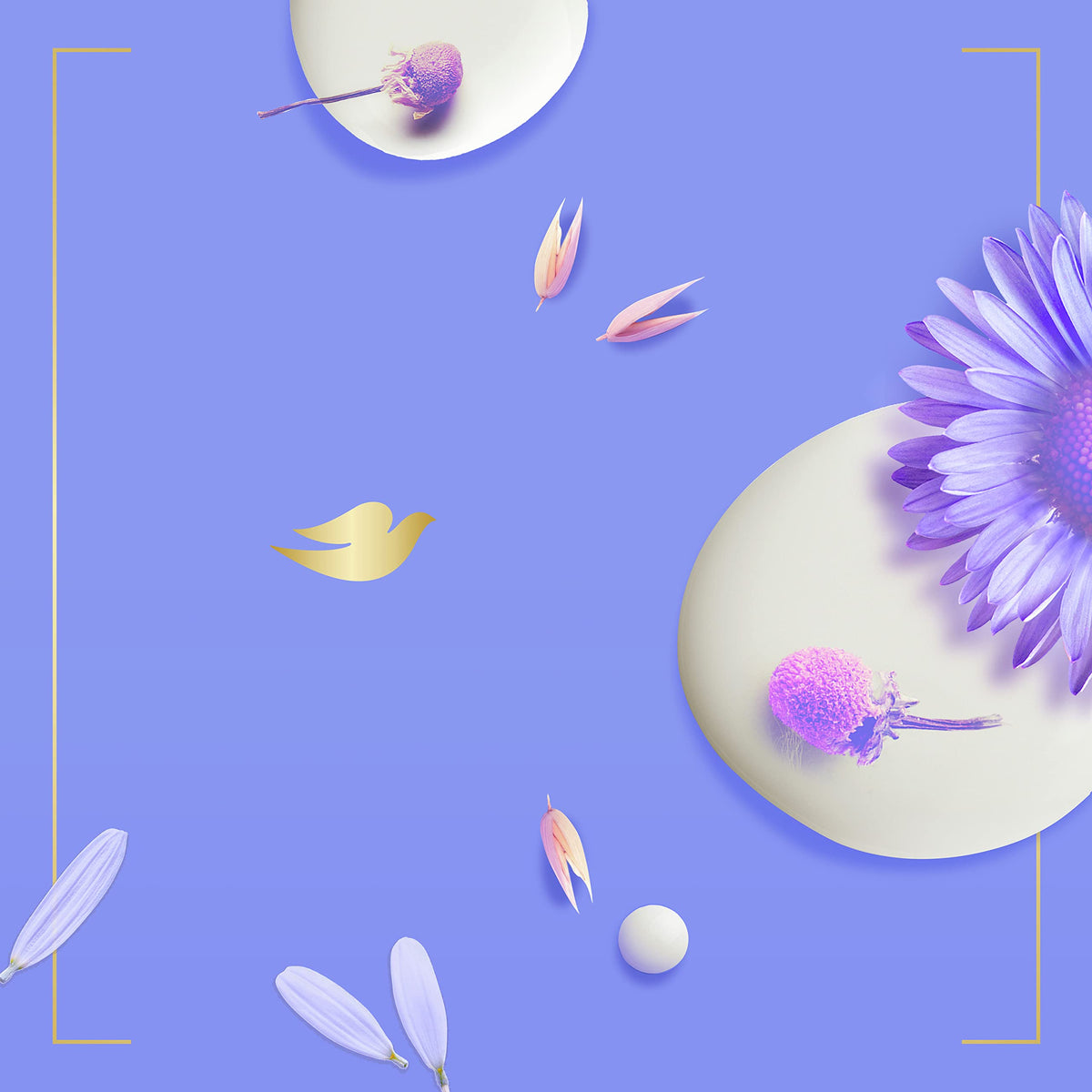 Dove Beauty Bar ready for daily shower routine