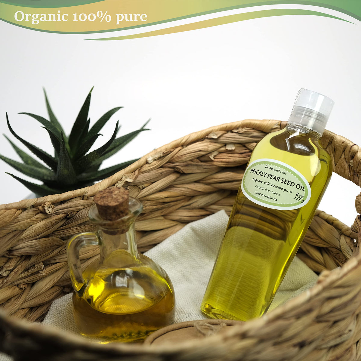 Dr Adorable prickly pear seed oil dropper disperses nourishing oil.