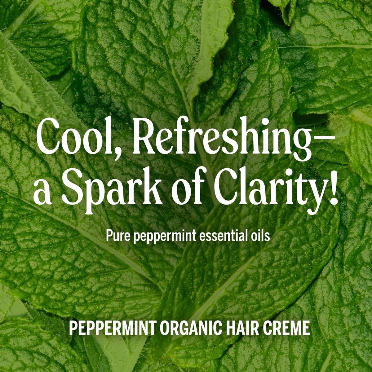 Close-up on hair strands with Dr. Bronner's Peppermint Creme