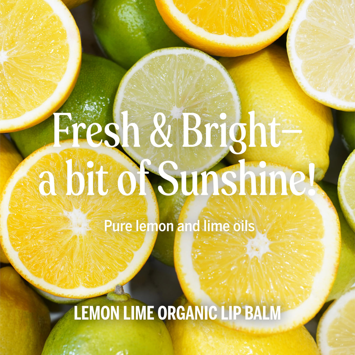 Beeswax and avocado oil ingredients highlighted on Dr. Bronner's lip balm label.