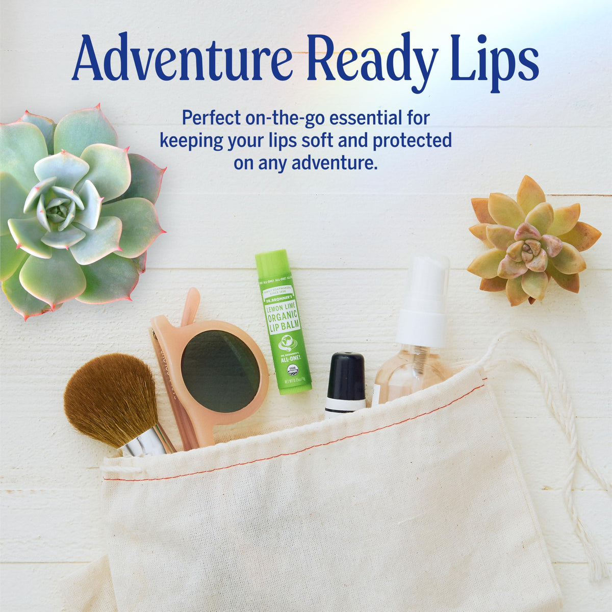 Travel-friendly lip balm pack for on-the-go moisture.