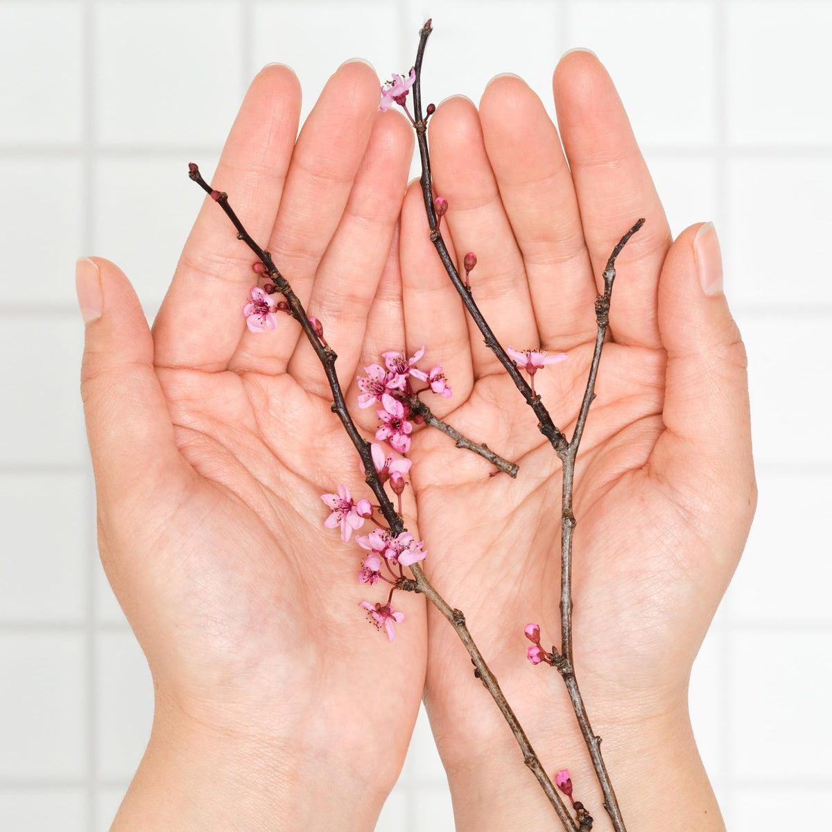 Travel-ready Cherry Blossom bar kit for on-the-go self-care