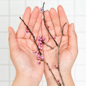 Travel-ready Cherry Blossom bar kit for on-the-go self-care