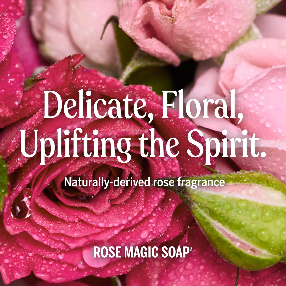 Dr. Bronner's Rose Castile versatile use: dish soap, brush cleaner, pet wash, laundry concentrate