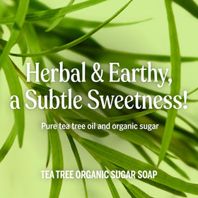 Dr. Bronner's Tea Tree Sugar Soap for body care with aromatic scent.