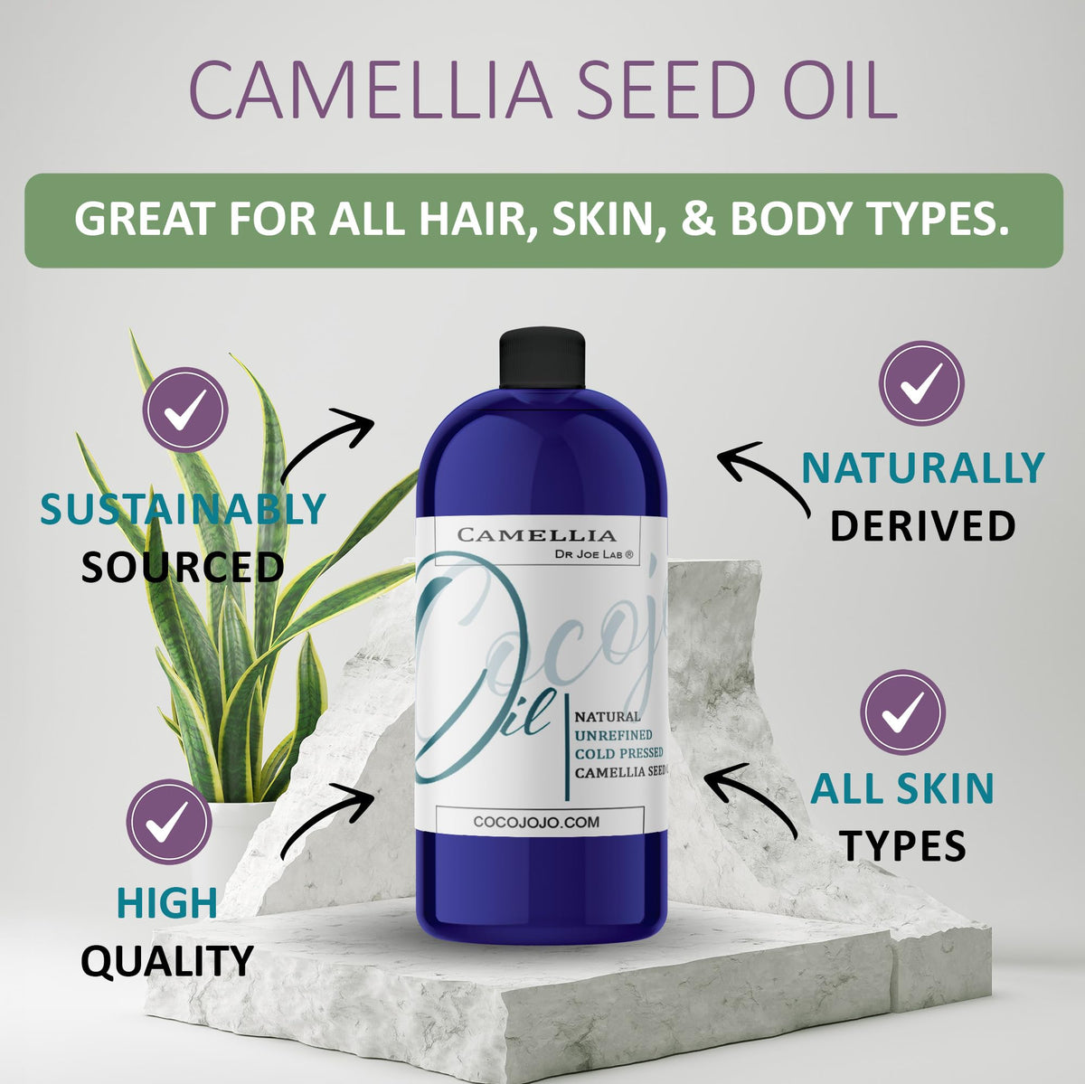 Dr Joe Lab Camellia Seed Oil bottle pour for scalp and hair nourishment