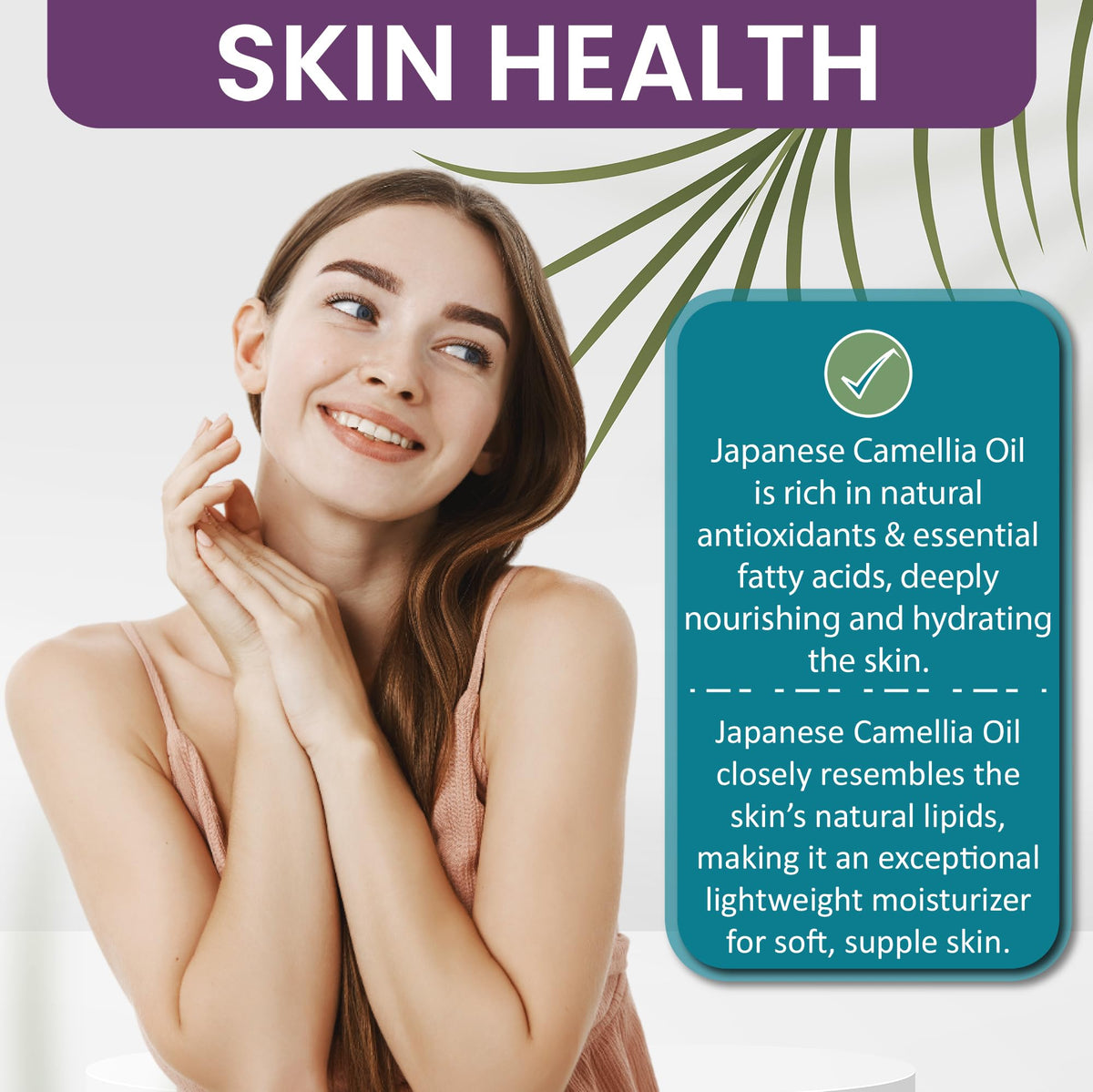 Dr Joe Lab Camellia Seed Oil label showing natural, cold-pressed quality and non-GMO sourcing.