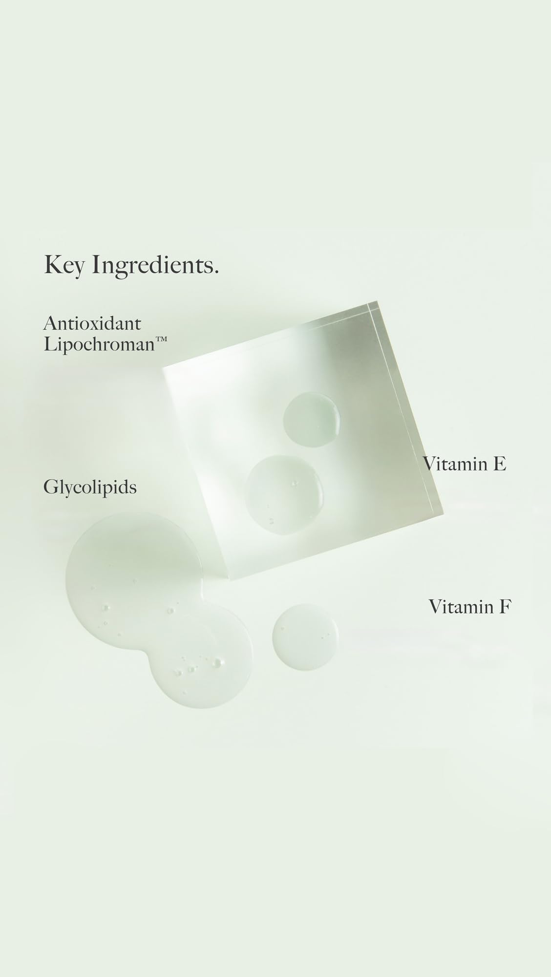 Antioxidants and bioidentical lipids in Dr. Loretta ingredients.