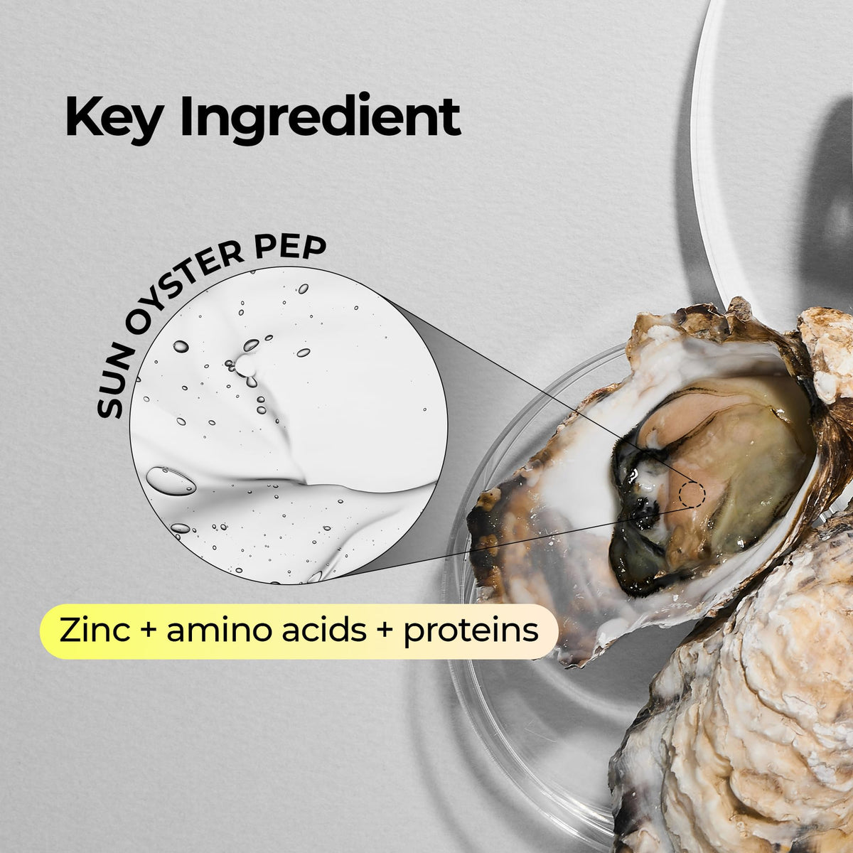 Dr.Melaxin Oyster Pep3 Renewal Ampoule texture close-up shows lightweight, fast-absorbing serum