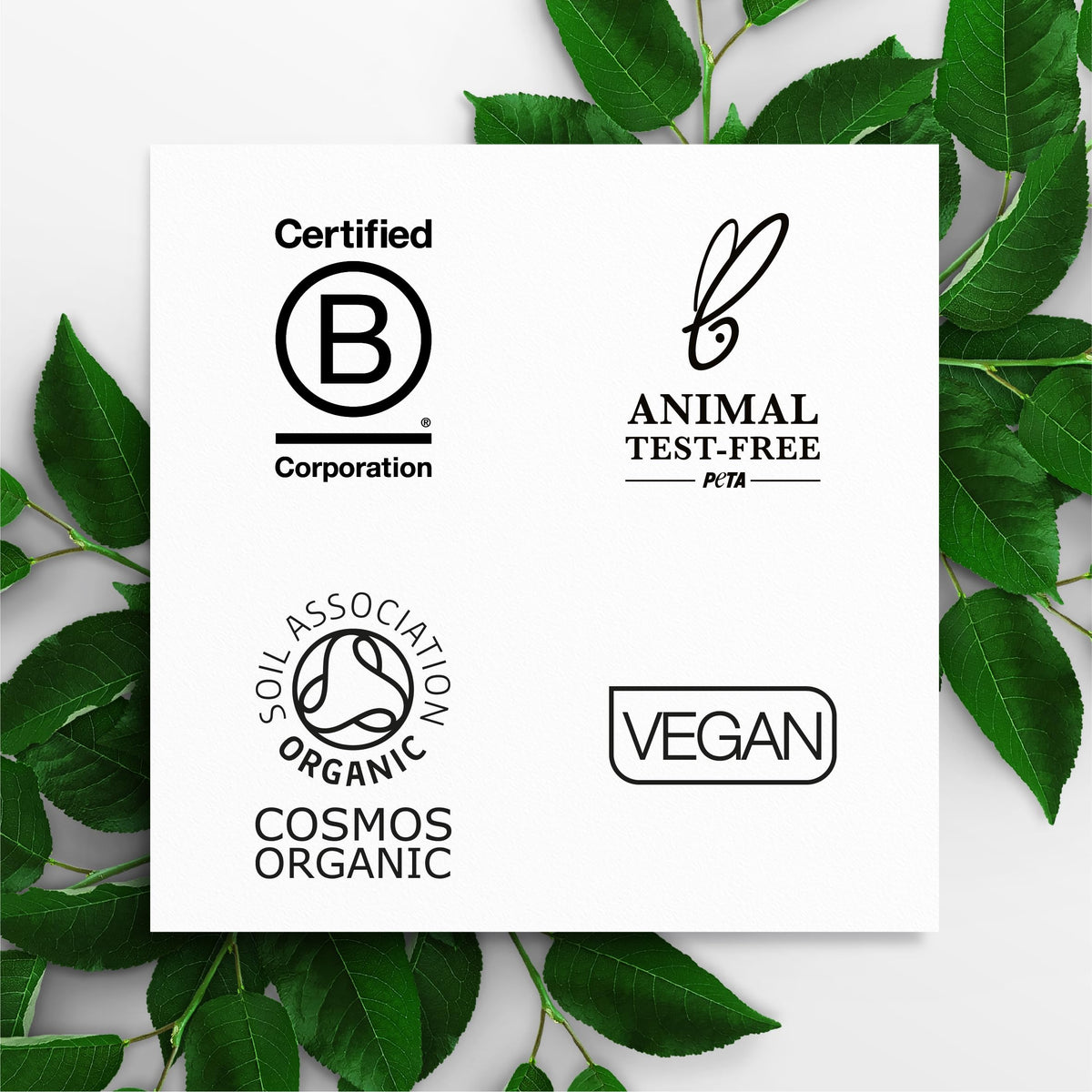 Ingredients reveal organic Manuka honey and antioxidants supporting skin well-being.