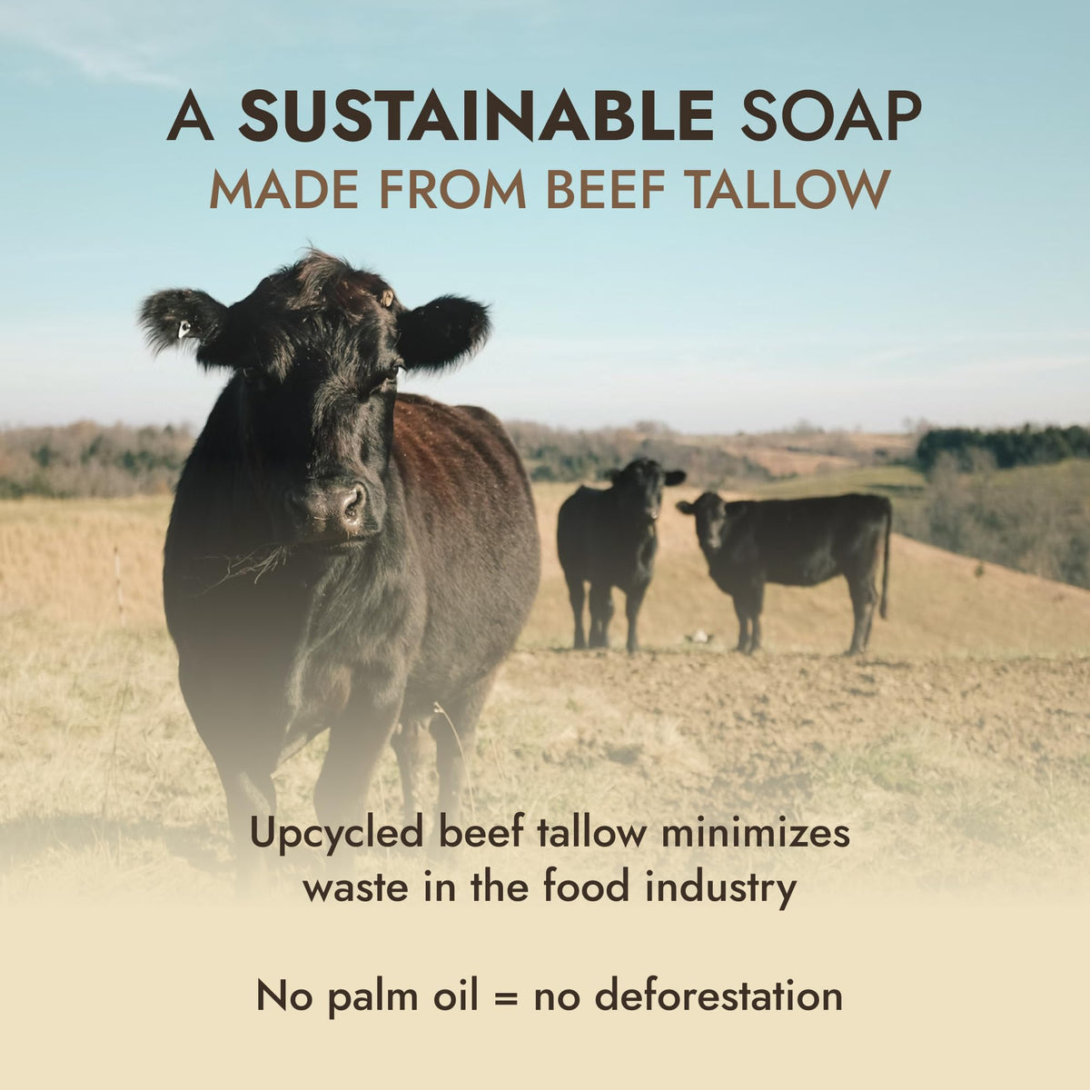 Cold-processed Dr. Seymour's soap creating a creamy lather for daily use