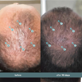DS Labs Spectral Booster hair close-up highlights strand strength and density