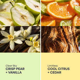 Duradry Cool citrus cedar scent signaling a revitalizing aroma for active days.