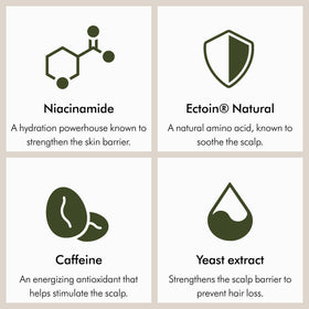Niacinamide balances oil while Ectoin helps strengthen the scalp barrier.