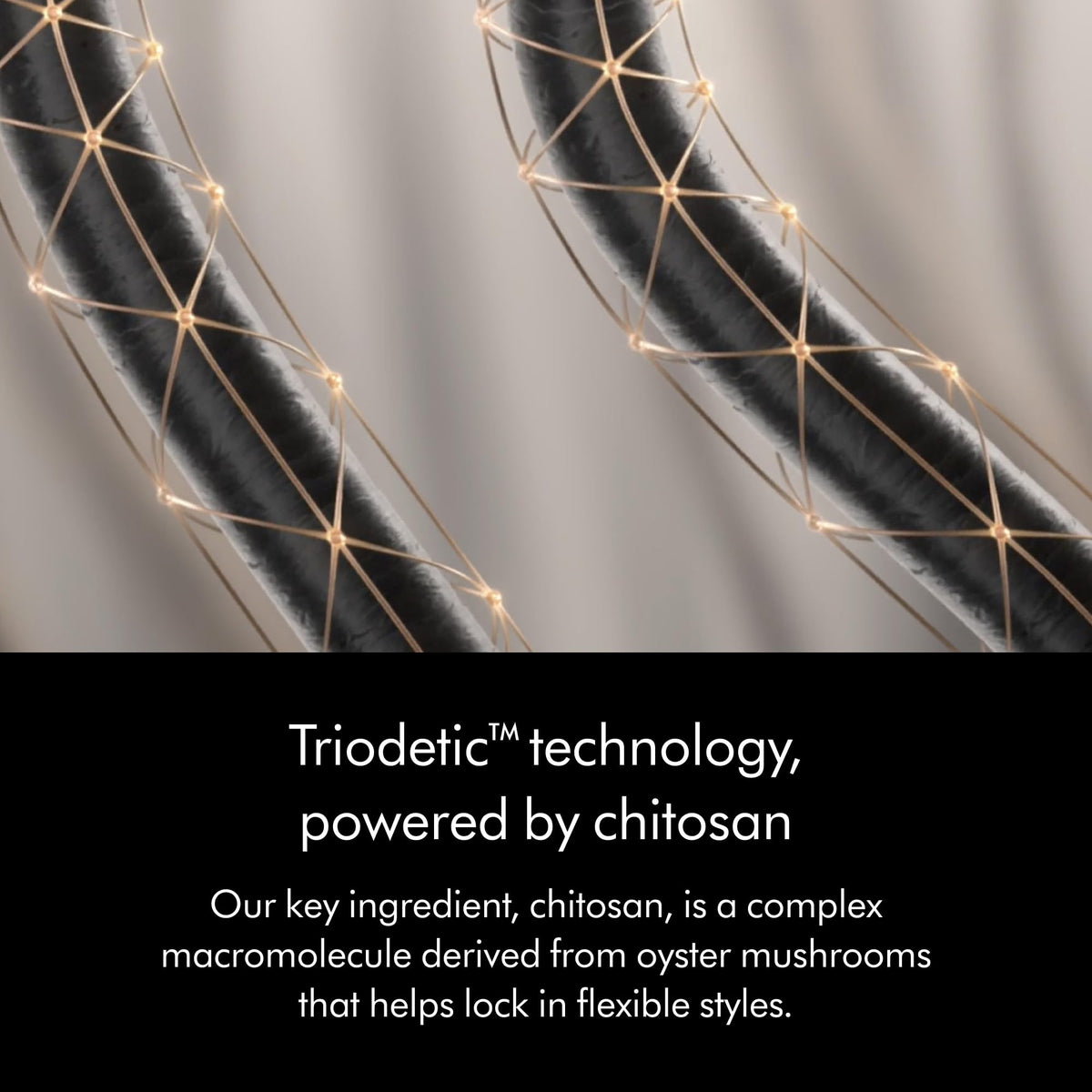 Fragrance notes of Dyson Chitosan Pre-style Cream with green and florals