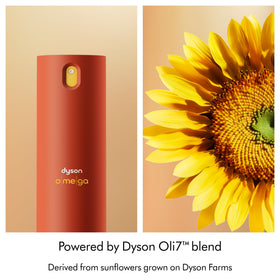 Dyson Omega frizz control while smoothing hair texture