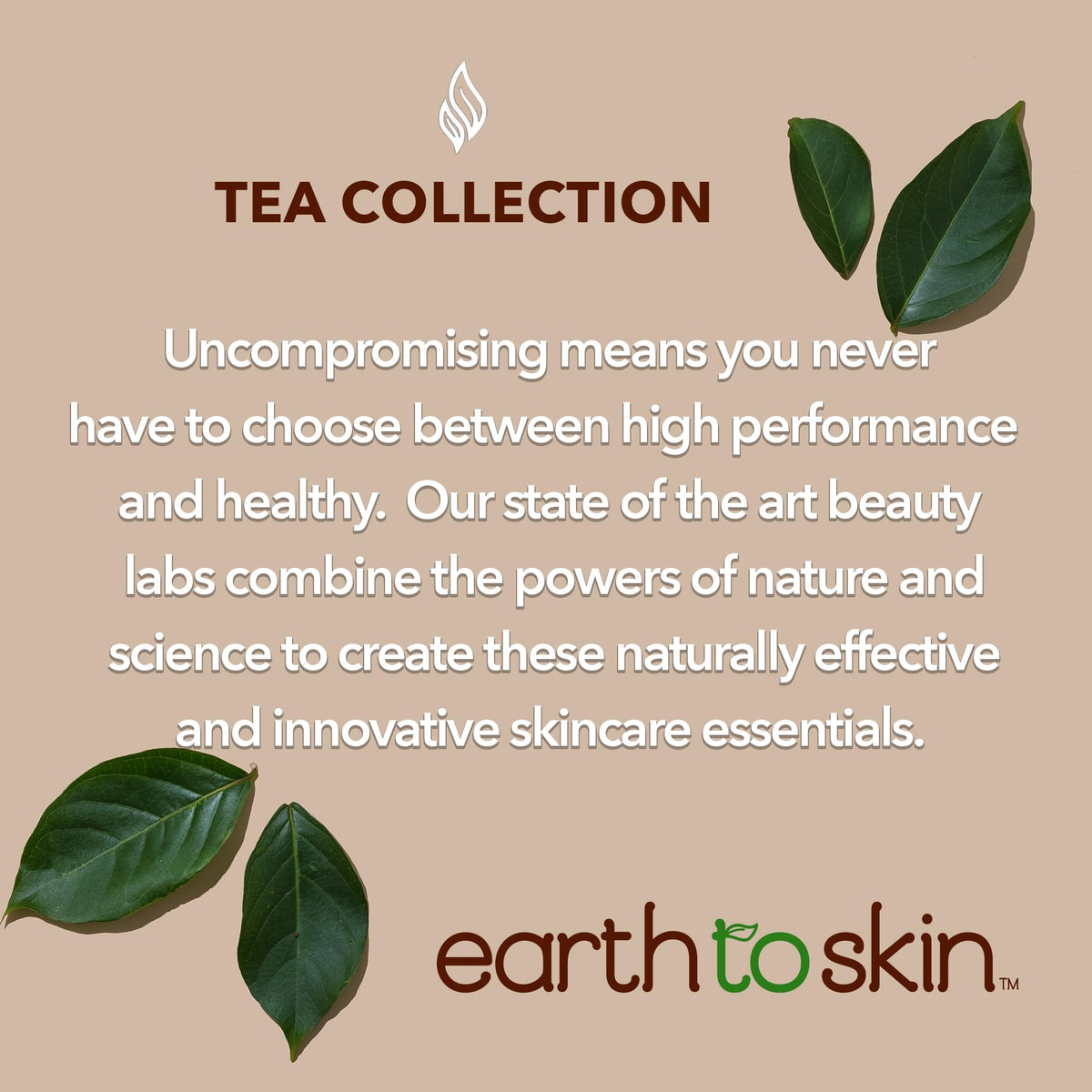 Packaging close-up shows clean Earth To Skin Tea Time formulation.