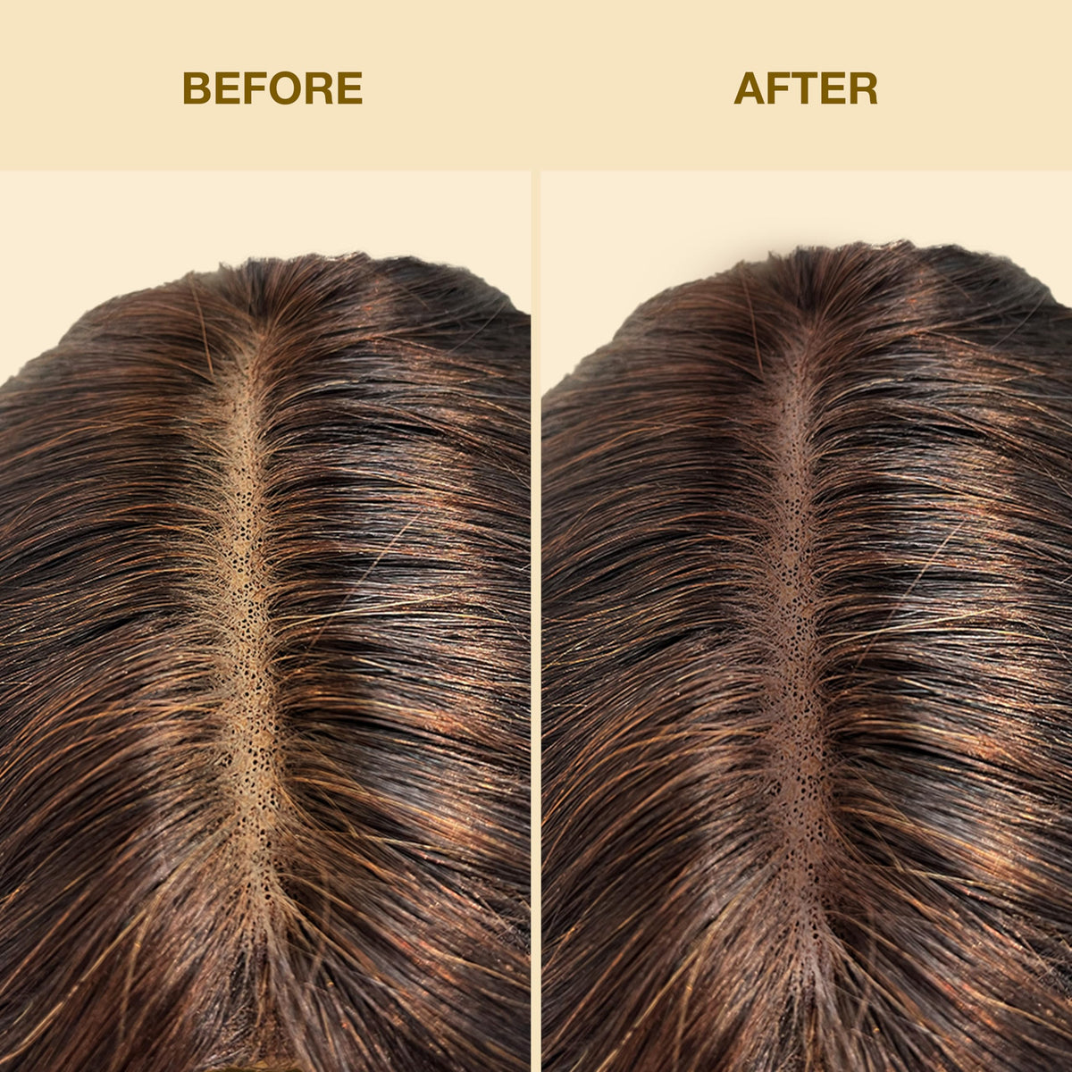 EBIN NEW YORK all-day wear look on wig with seamless tone