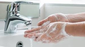 ECOS Lavender Hand Soap Refill conveys tranquil meadow scent