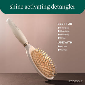 EcoTools Shine Activating Detangler dry hair use promotes shine and smoothness.