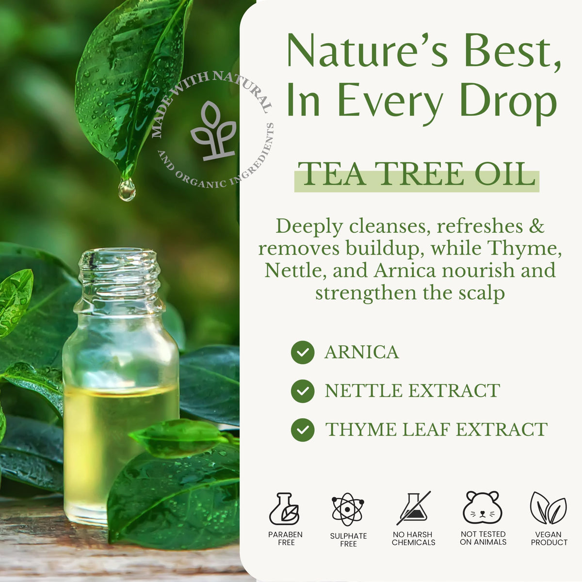 Shampoo clarifies scalp buildup with EDENIKA BOTANICALS Tea Tree Oil Shampoo.
