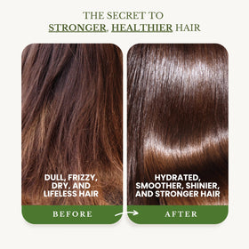 Shampoo lather close-up from EDENIKA BOTANICALS Tea Tree Oil Shampoo cools the scalp.