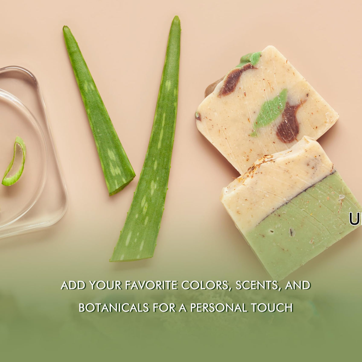 EDSRDRUS 5lb batch offers value for bulk soap making.