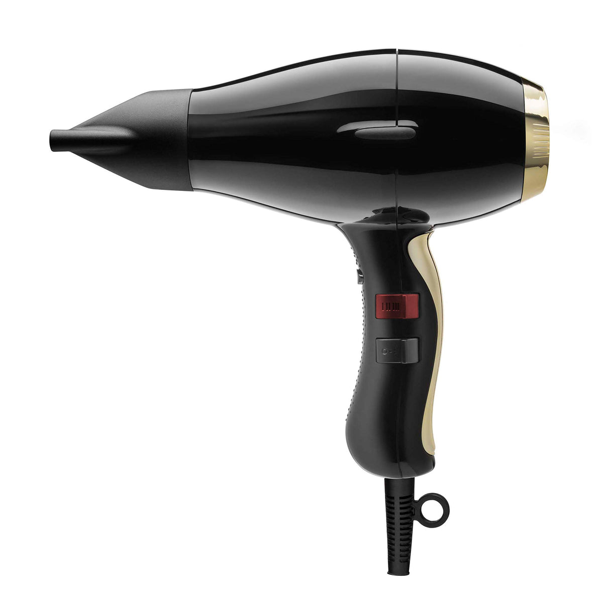 Elchim 3900 healthy ionic ceramic hair dryer for smooth, glossy results.